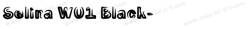 Selina W01 Black字体转换